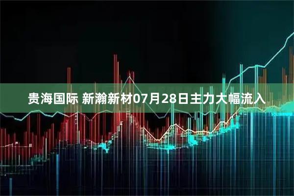 贵海国际 新瀚新材07月28日主力大幅流入
